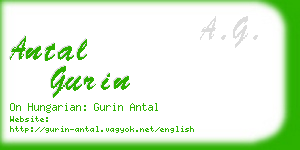 antal gurin business card